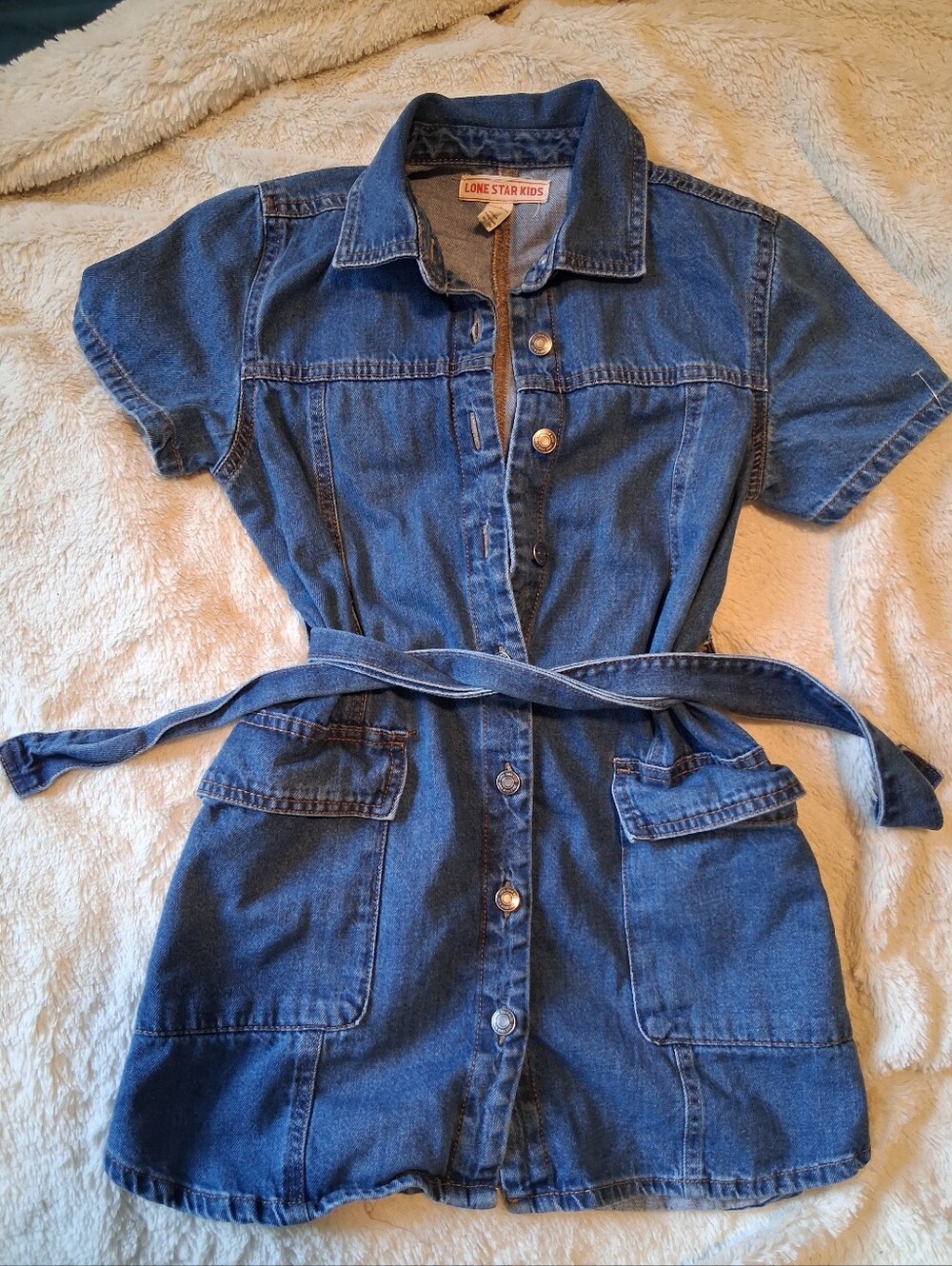 Vintage Jean Dress